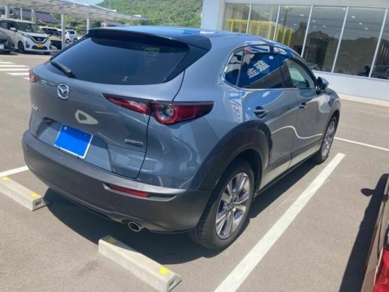 CX-30