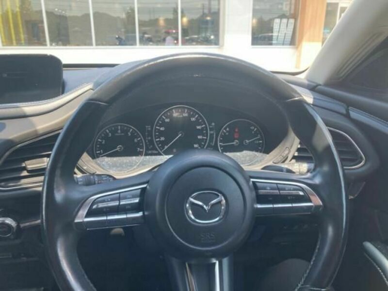 CX-30
