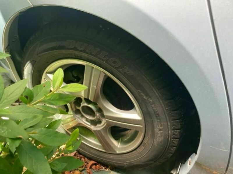 PRIUS-7