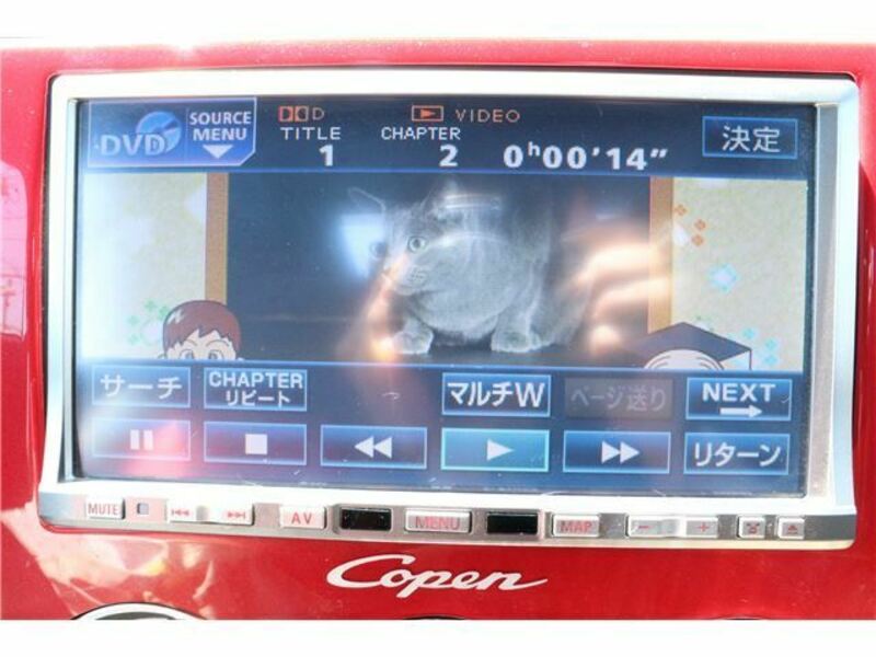 COPEN-13