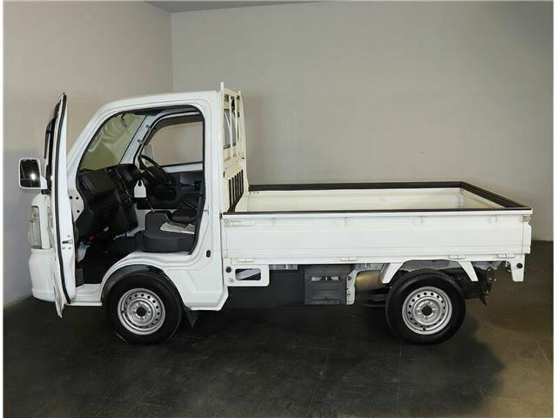 CARRY TRUCK-12