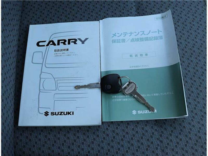 CARRY TRUCK-47