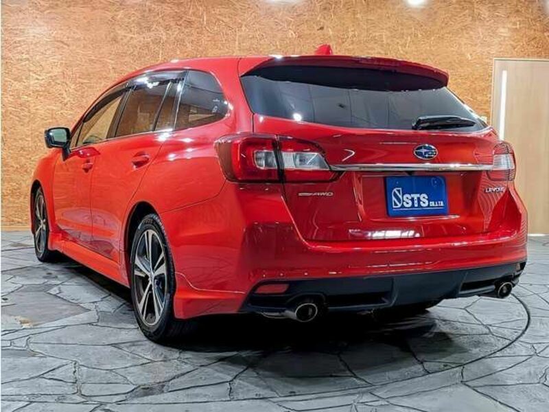 LEVORG-8
