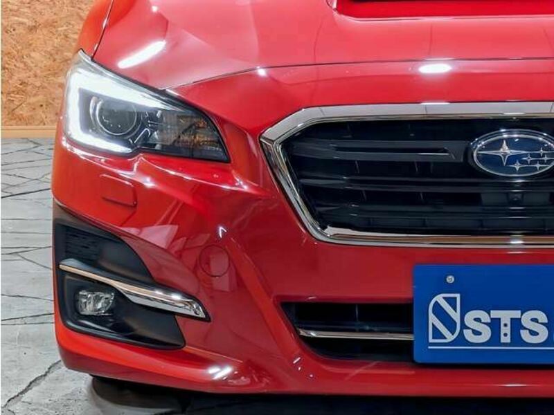 LEVORG-10