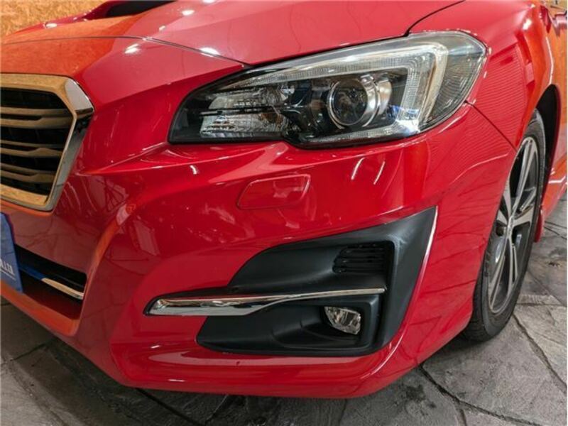 LEVORG-13