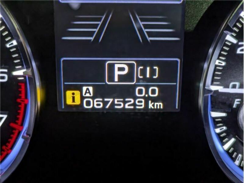LEVORG-25