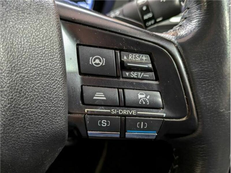 LEVORG-27