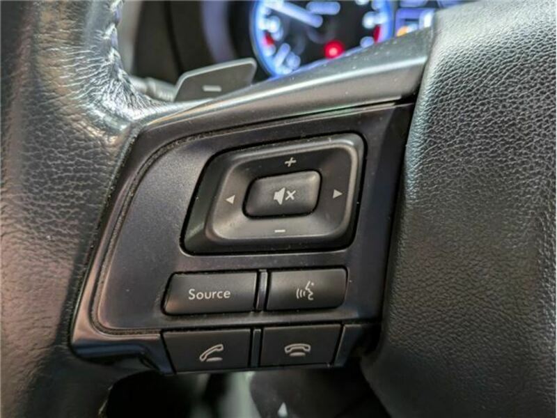 LEVORG-28
