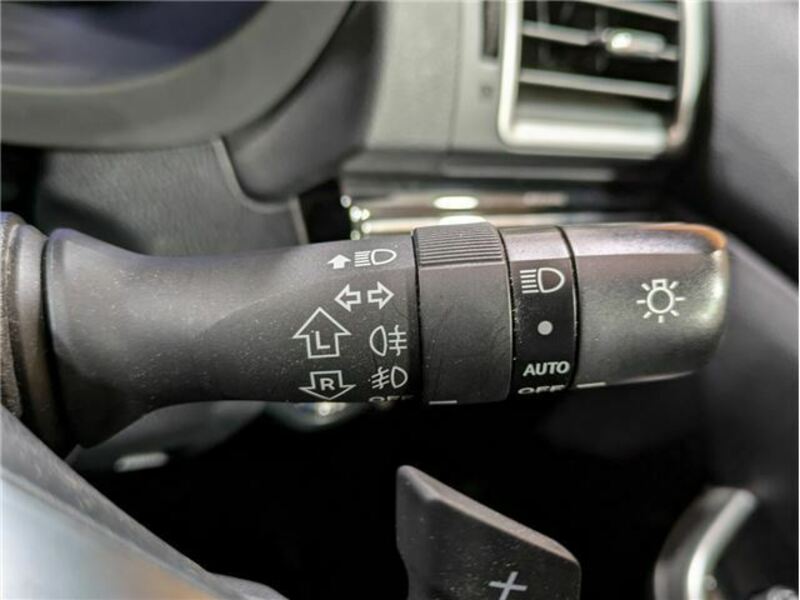 LEVORG-29