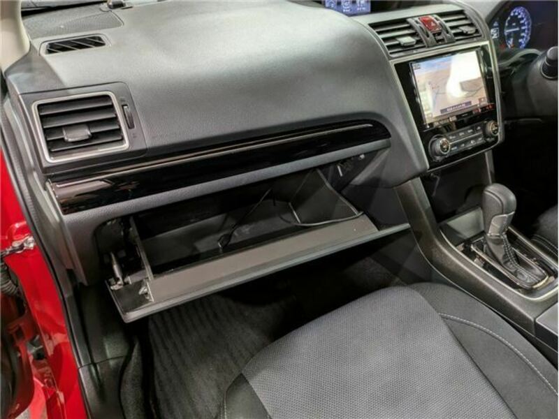 LEVORG-39