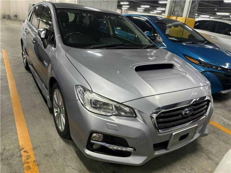 LEVORG