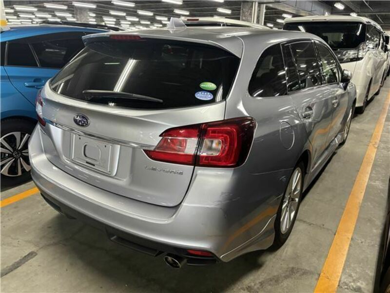 LEVORG