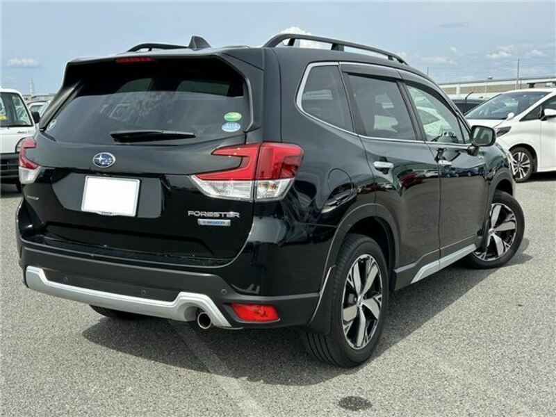 FORESTER-1