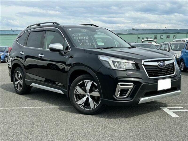 FORESTER-3