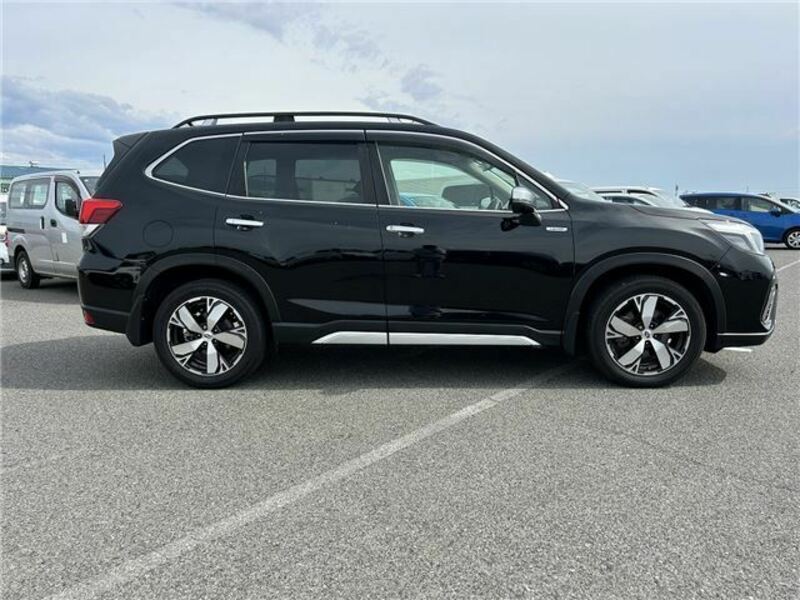 FORESTER-5