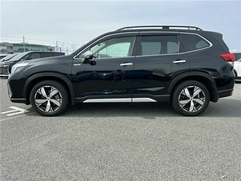 FORESTER-6
