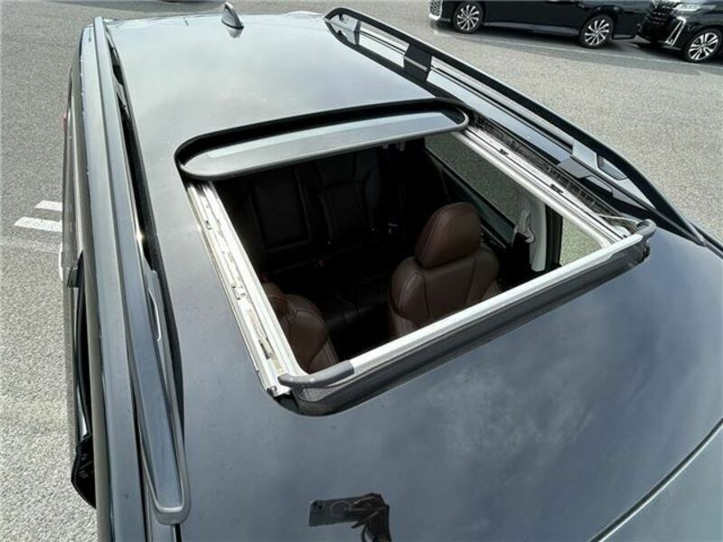 FORESTER-7