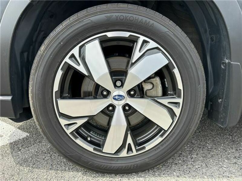 FORESTER-8