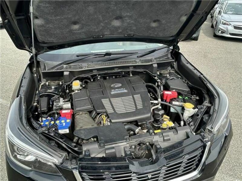 FORESTER-10