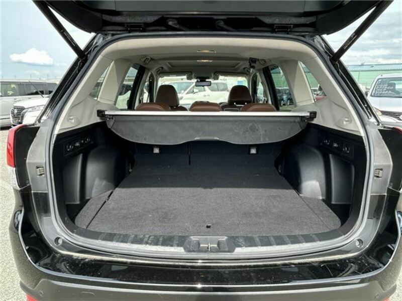 FORESTER-12