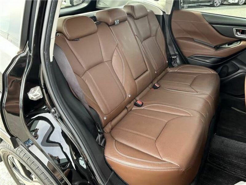 FORESTER-17