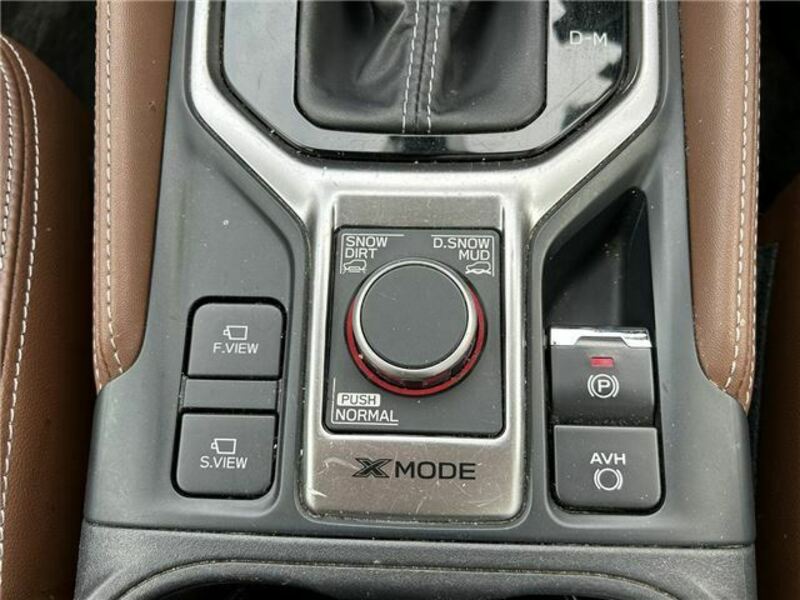 FORESTER-28
