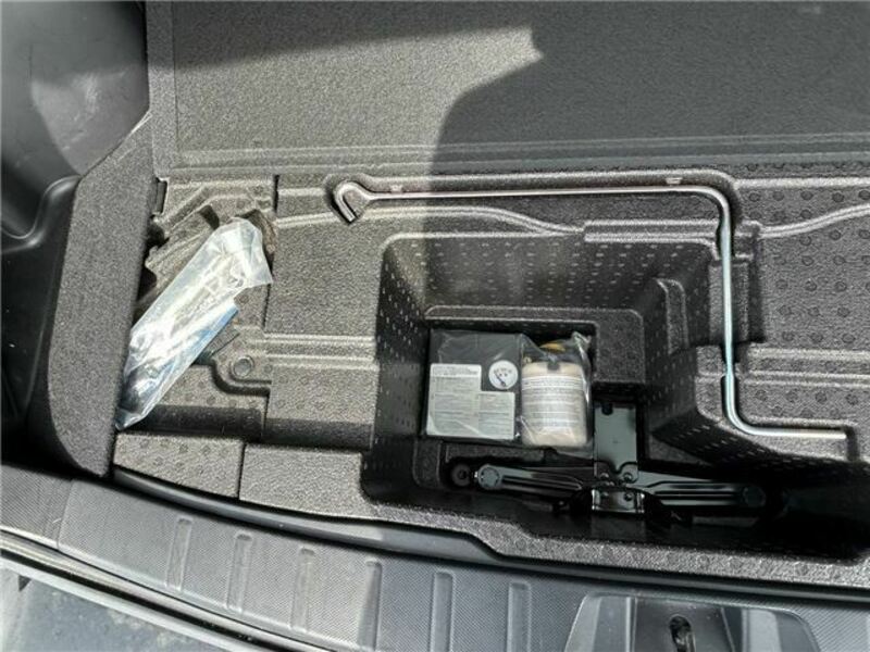 FORESTER-35
