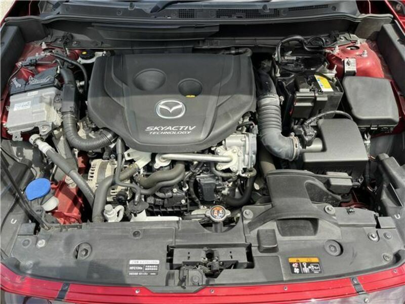 CX-3