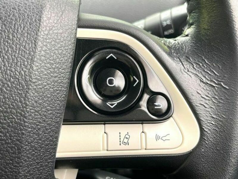 PRIUS-6