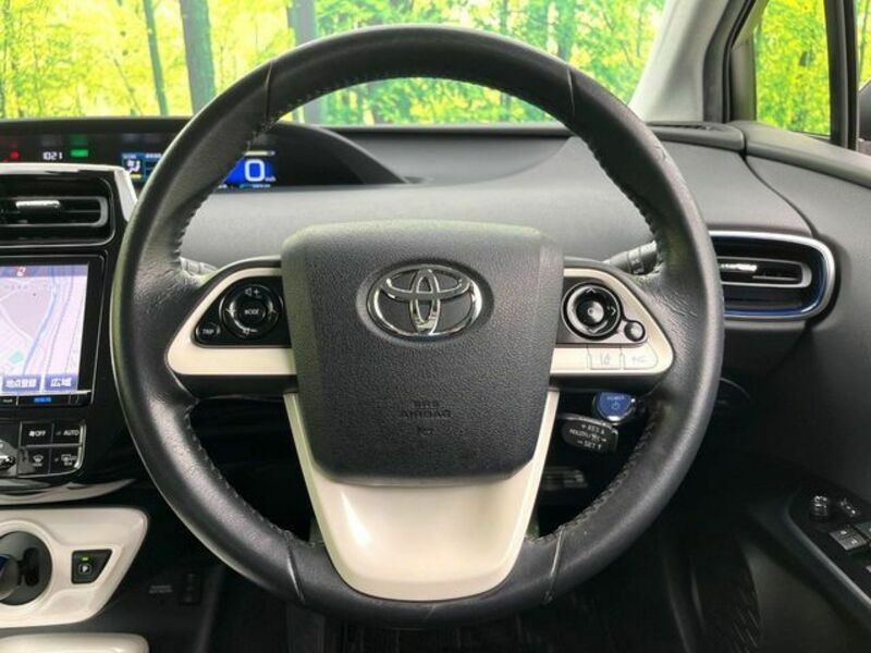PRIUS-11