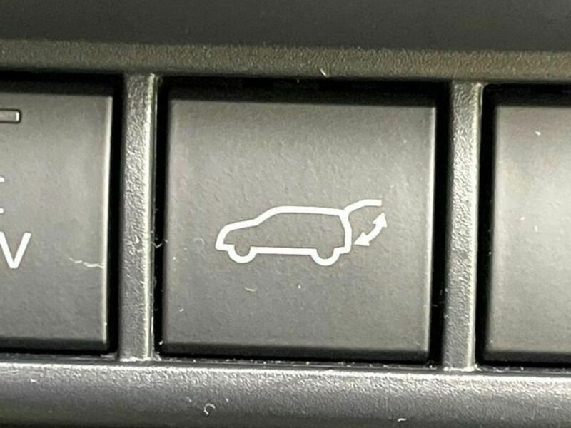 PRIUS-7
