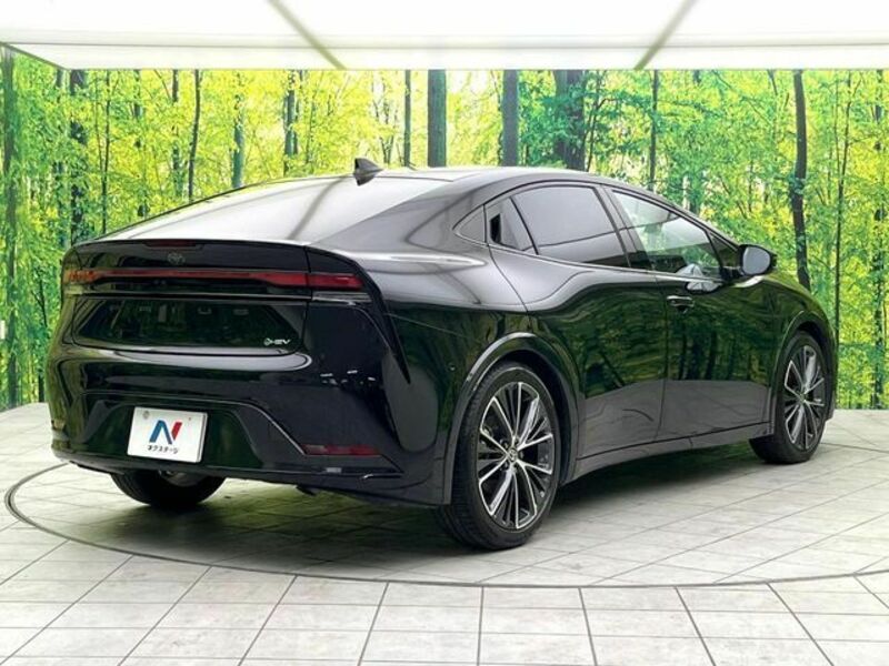 PRIUS-16