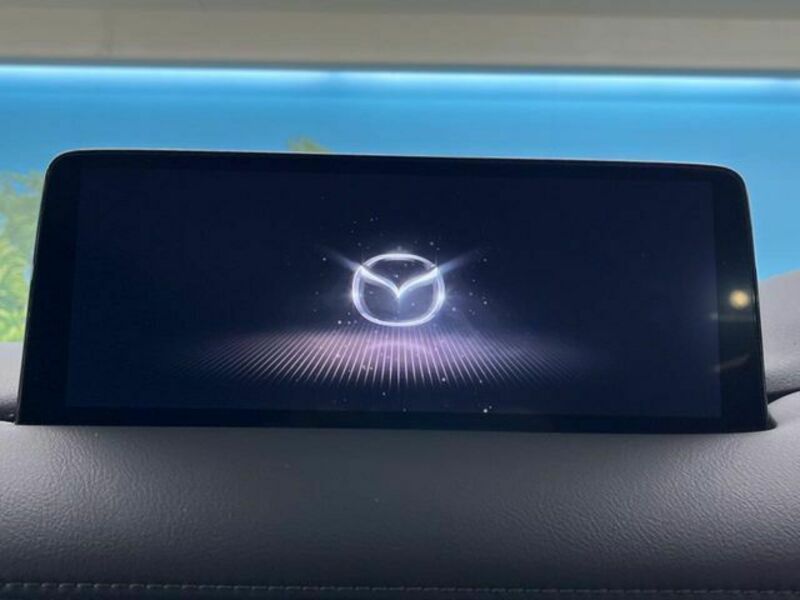 CX-8-2