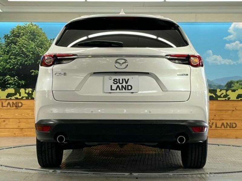 CX-8-15