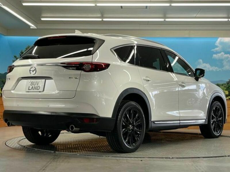 CX-8-17