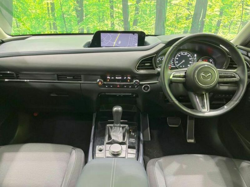 CX-30