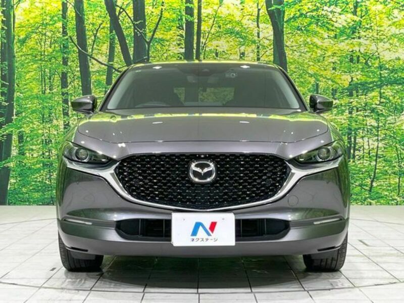 CX-30