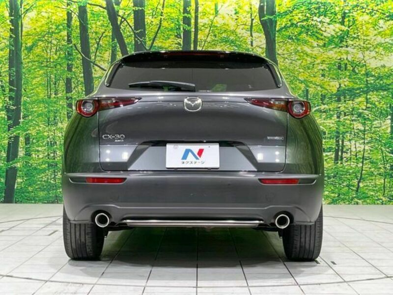 CX-30