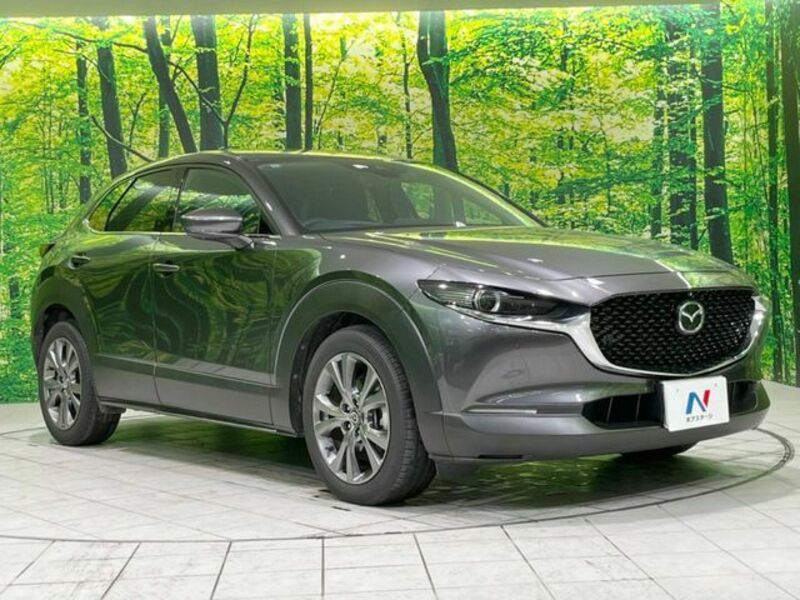 CX-30