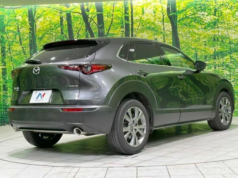 CX-30