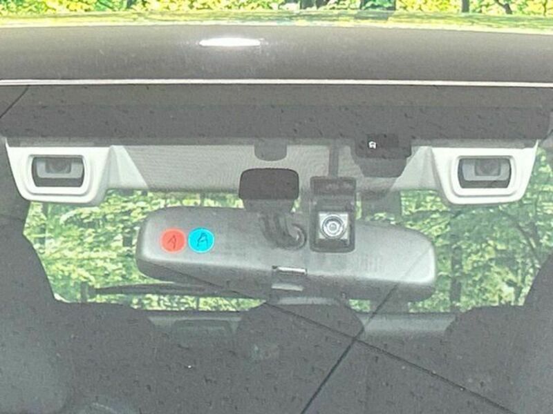 FORESTER-2
