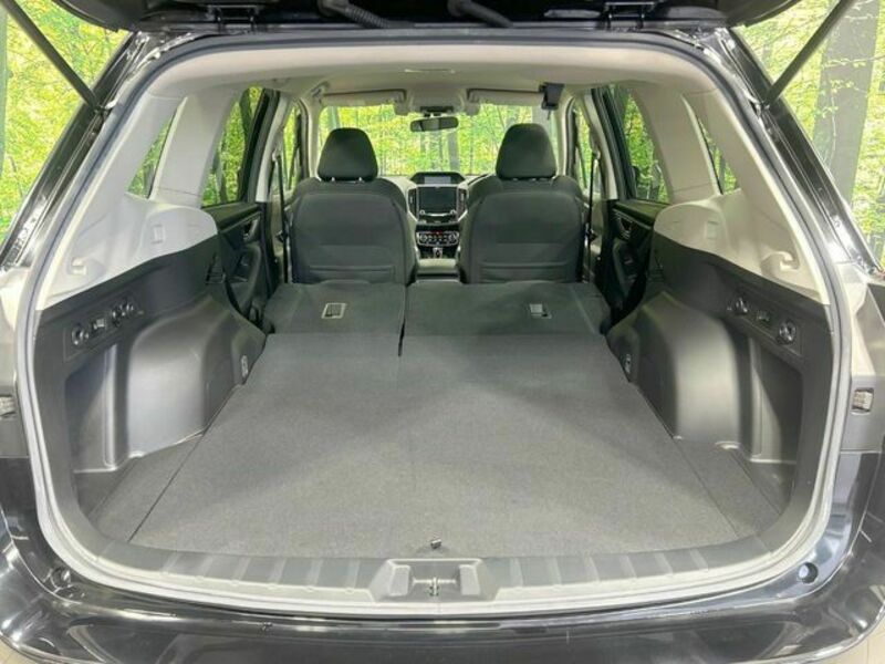 FORESTER-9