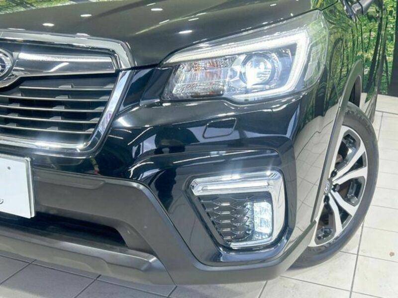FORESTER-11