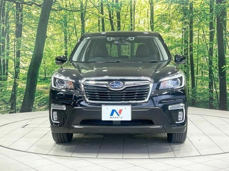 FORESTER-13