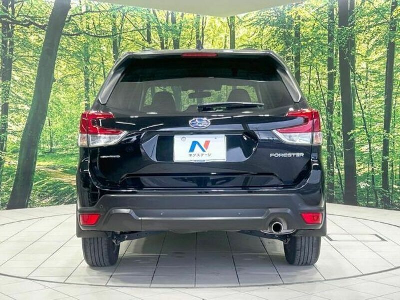 FORESTER-14