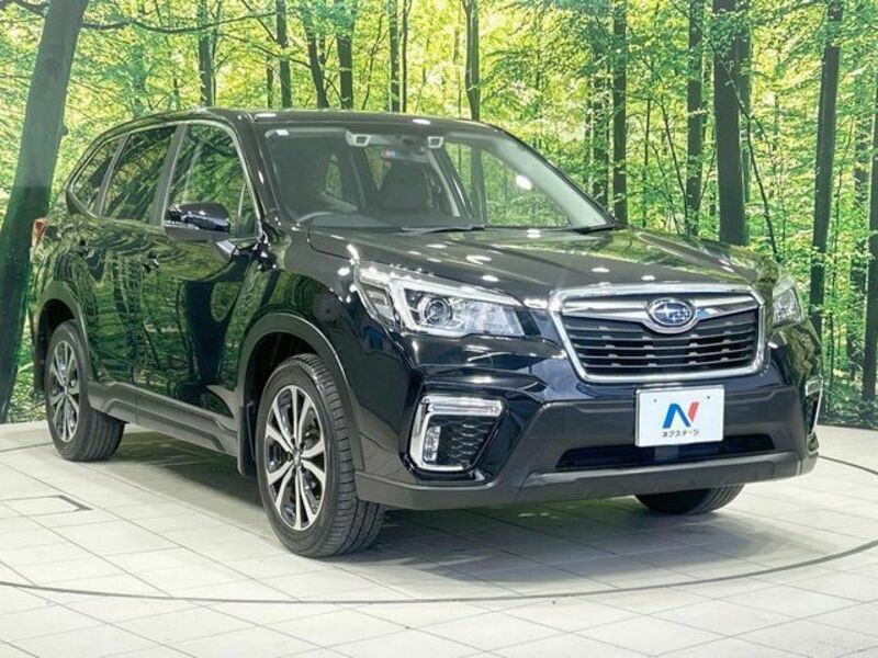 FORESTER-15