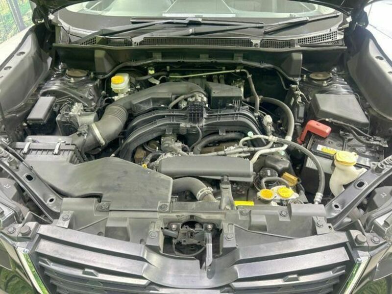 FORESTER-17