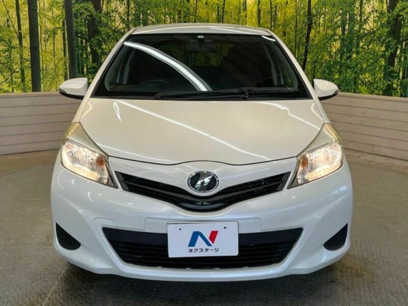 VITZ-13