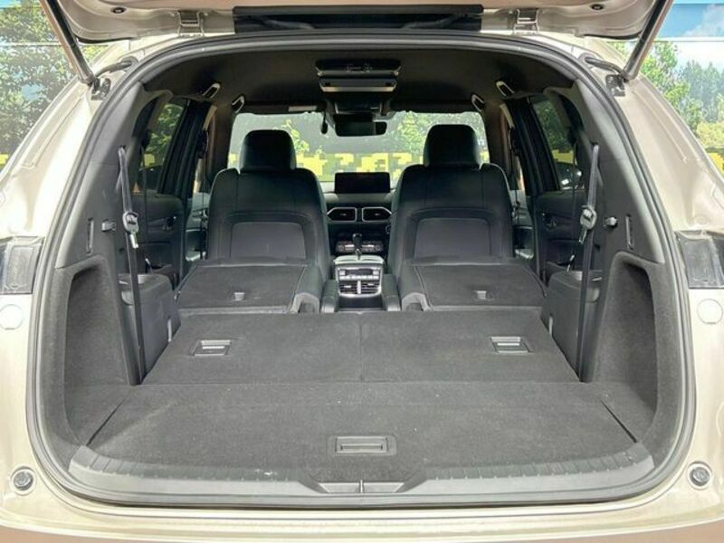 CX-8-10
