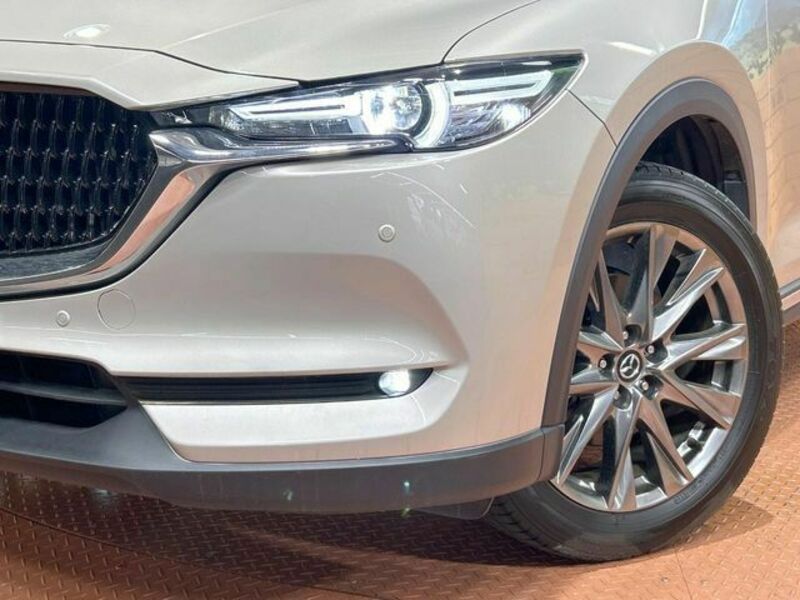 CX-8-12